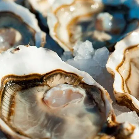 Maison Mitoyenne 3 Pieces Avec Terrasse, Jardin Cloture Et Parking - 6 Couchages A Marseillan - Fr-1-326-484 度假居