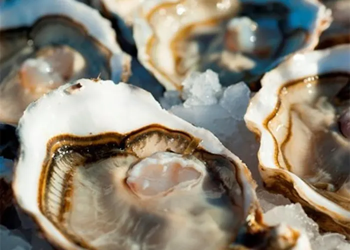 Maison Mitoyenne 3 Pieces Avec Terrasse, Jardin Cloture Et Parking - 6 Couchages A Marseillan - Fr-1-326-484 Casa vacanze